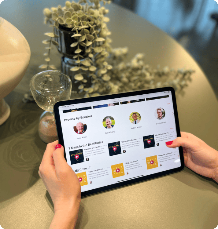 Custom software development — bespoke applications and platforms
