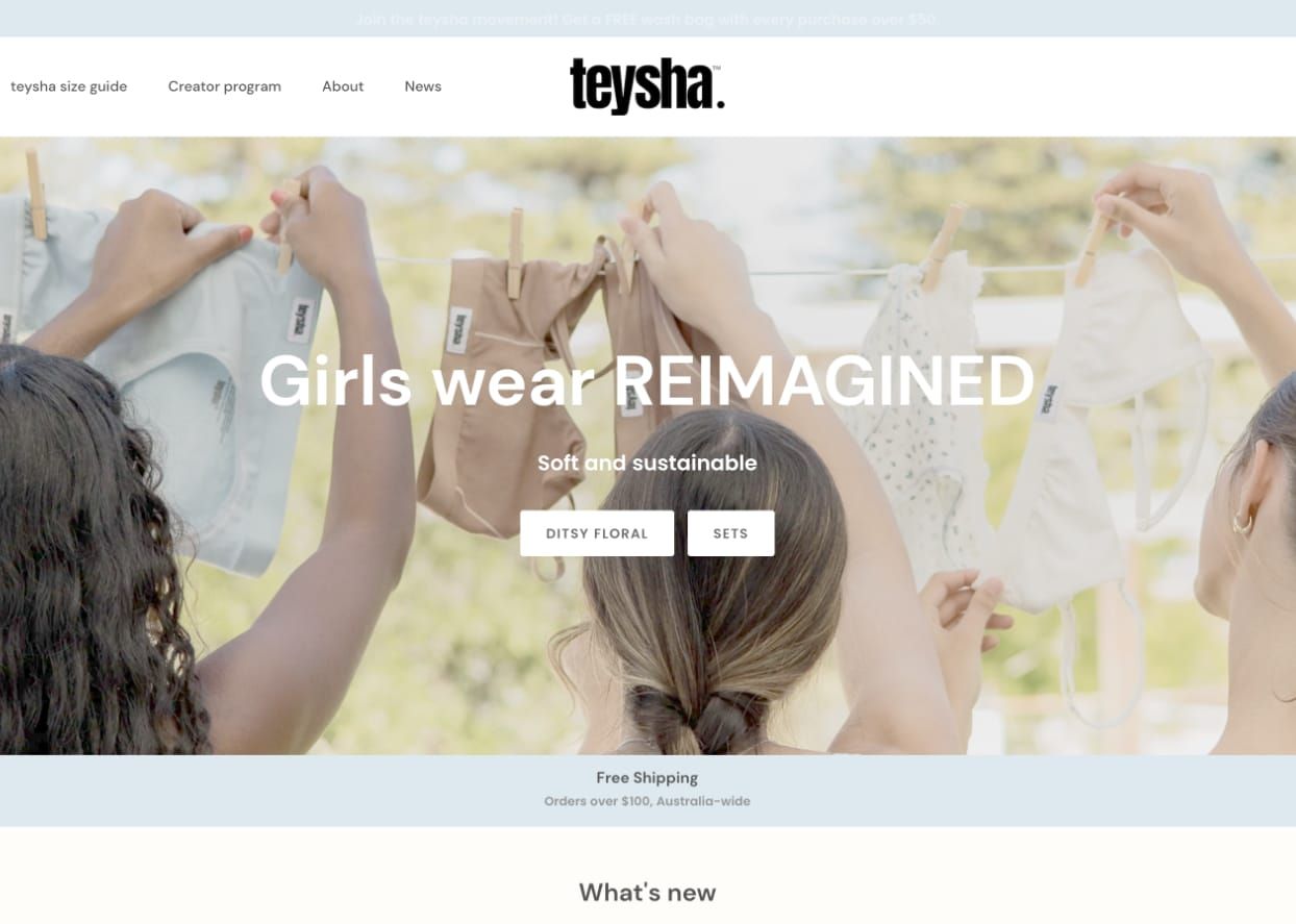 AI-Integrated Shopify Store for Ethical Fashion | Playtime Group × teysha image